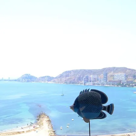 Apartamento 12 Soles Alicante Exterior photo